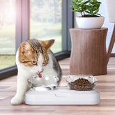 Pet Bowl Water Bowls Anti Slip